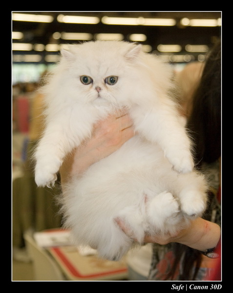 Sep 06 - Salon des animaux de compagnies - 18